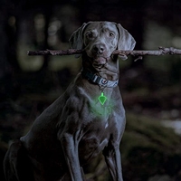Targhetta Identificativa per Cani Impermeabile in Silicone Oksilicone, Forma Circolare Mini 2cm, Colori Luminosi, per Piccoli Animali