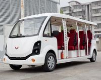 Minibús Turístico Eléctrico de Lujo Wuling de 8 Plazas, Nueva Energía, Alta Calidad