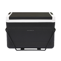 Glacière pour voiturette de golf avec support de montage Caddy pour Yamaha Club Car et EZGO, glacière portable 48H pour voiturette de golf