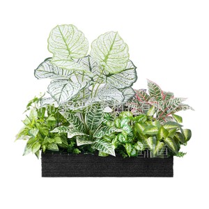 Jardinière de fleurs artificielles Greenway, série Y60, 30cm-100cm, pour l'aménagement paysager intérieur et extérieur - Product Image 1