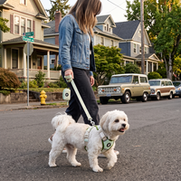 Harnais pour chien personnalisé imprimé en usine, collier de luxe vert pour animaux de compagnie, sac à déjections canines, laisse pour chien, ensemble de harnais respirant et réglable anti-étranglement pour chien