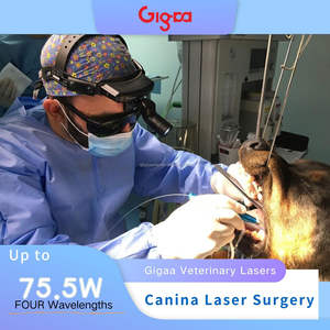 Peralatan dokter hewan multi-panjang gelombang 810nm 980nm mesin terapi <span class=keywords><strong>Laser</strong></span> untuk anjing mengurangi nyeri dan peradangan - Product Image 3