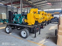 Nouveaux générateurs de puissance diesel magnétiques 10kw-40kw 1 an de garantie essentiels pour l'élevage d'animaux ferme avicole moteur d'apiculture