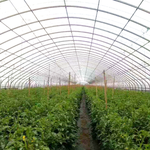 Installation facile, fabricant professionnel, kits complets, agriculture, plantation de fleurs, <span class=keywords><strong>tunnel</strong></span> de <span class=keywords><strong>jardin</strong></span> en polycarbonate, <span class=keywords><strong>petit</strong></span> modèle - Product Image 1