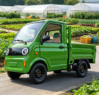 Véhicule électrique à benne basculante à 4 roues certifié CEE, véhicule électrique 3500W, camion à énergie nouvelle, 25 km/h, 2 places, E-pickup