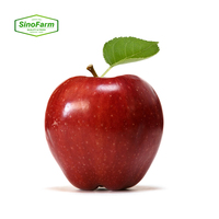 Apple merah segar kelas atas harga bagus Apple merah paling populer buah apel merah segar apel lezat