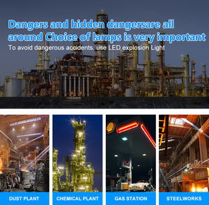 UL 20kV Surge-Resistant 200W <b>Explosion</b>-Proof LED Light | IP65 Rated with 5-Year Warranty - Product Image 2