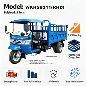 WAW WKH5B311 Triciclo Diesel per Carichi Pesanti con Motore da 32 CV e Capacità di Carico di 5 Tonnellate, Camion Ribaltabile a 3 Ruote con Guida a Destra e Freno ad Aria Triciclo WAW - Product Image 1