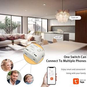 ZigBee3.0 Gateway Hub สวิตช์รีโมตคอนโทรลอัจฉริยะ,1 <span class=keywords><strong>CH</strong></span> 85-250V ตัวรับสัญญาณไร้สาย RF 110V 220V WiFi APP ที่เปิดประตูควบคุมด้วยเสียง - Product Image 6