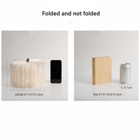 Vente en gros 2026 Nouveaux Gadgets Décoratifs Lampes de Lecture Pliables USB en Papier Mini Projecteur LED pour Produits d'Innovation Technologique