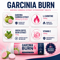 Comprimés effervescents amincissants OEM, extrait de Garcinia Cambogia + L-Carnitine pour soutenir le métabolisme