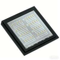 Diodo Láser de Emisión Lateral de Alta Potencia J Light 830nm 1W, Chip de Diodo Láser de Emisor Único, Venta al por Mayor