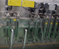 Machine d'emballage de sachets Doypack à fermeture éclair duplex DS-280DSZ, remplissage de poudre, film/sacs multifonctions de qualité alimentaire