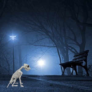 Novedosa Decoración de Esqueleto de Perro para Fiestas en Casa, Adorno de Plástico para Ambiente Festivo de Halloween - Product Image 6