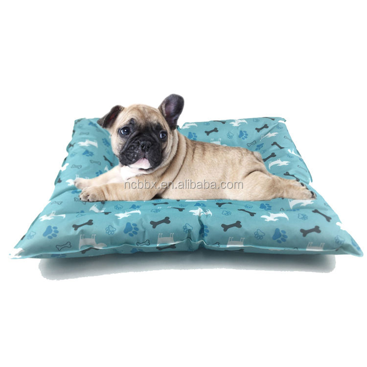 สุนัขการ์ตูน