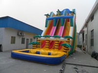 Toboggan aquatique gonflable populaire en PVC pour extérieur, grande piscine durable pour adultes, usage commercial, pas cher, 8x4m, 2-3 ans