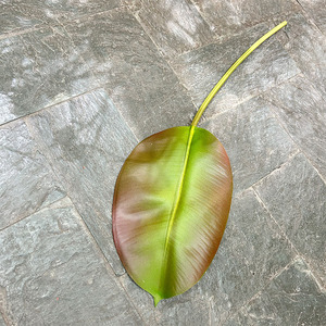 Rama sintética de mimbre de PE con hojas delgadas de <span class=keywords><strong>sauce</strong></span> <span class=keywords><strong>llorón</strong></span> de plástico realista para decoración de techo y accesorio de fondo de escenario pastoral - Product Image 5