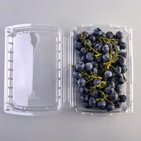 Boîtes d'emballage en plastique transparentes à charnière de 500g pour fruits (fraises, mûres, cerises) avec trou pour couvercle