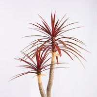 Dracaena artificielle en plastique durable, écologique, imperméable, à feuillage luxuriant, économique, H120cm, pour décoration moderne, réaliste