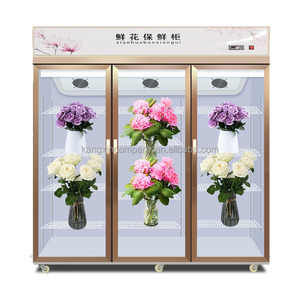 <span class=keywords><strong>Vitrine</strong></span> commerciale pour magasin, réfrigérateur à fleurs d'<span class=keywords><strong>occasion</strong></span>, réfrigéré - Product Image 6