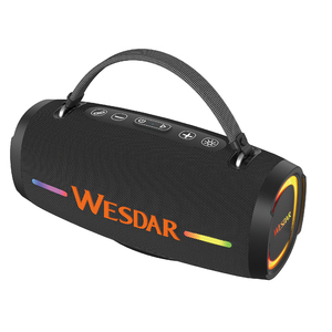 WESDAR Enceinte Portable 14W avec Lumières RGB, Basses Puissantes, Bluetooth 6.0, Étanche IPX5, USB/AUX pour Fêtes en Extérieur et Camping - Product Image 1