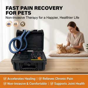Appareil de magnétothérapie PEMF portable certifié CE, améliore la flexibilité, réduit la douleur, appareil de bien-être pour animaux de compagnie pour clinique vétérinaire - Product Image 1