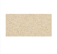 Carreaux de porcelaine antidérapants 60x30 18mm pour extérieur, résistants à l'usure, isolants thermiquement, résistants aux acides, pour parkings et jardins extérieurs