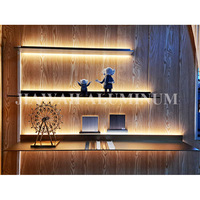 Éclairage LED anodisé gris doré noir Panneaux muraux décoratifs Étagère d'affichage en aluminium Support mural pour magasins de salon