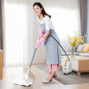 Apoyo muestras profesional de <span class=keywords><strong>vapor</strong></span> RP <span class=keywords><strong>aspiradora</strong></span> casa alfombra <span class=keywords><strong>vapor</strong></span> RP 1500w - Product Image 1