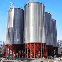 Silos di Stoccaggio Verticale in Acciaio per Mais con Capacità di 500 Tonnellate
