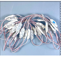Module LED d'injection haute qualité 3 LED DC12V IP68 étanche pour enseigne publicitaire avec puce Epistar/Sanan, garantie 3 ans