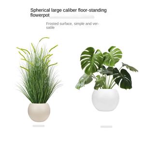 Grand <span class=keywords><strong>pot</strong></span> en <span class=keywords><strong>plastique</strong></span> innovant, vase sphérique pour les magasins <span class=keywords><strong>de</strong></span> décoration intérieure <span class=keywords><strong>de</strong></span> luxe, grand centre <span class=keywords><strong>de</strong></span> présentation botanique - Product Image 5