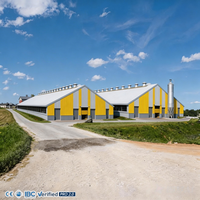 Bâtiment préfabriqué en structure métallique pour élevage de volailles, bâtiment d'élevage bovin, hangar industriel pour l'élevage porcin, grand hangar laitier à grande portée résistant au vent fort