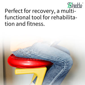 Dischi Gonfiabili per Equilibrio Shinho Factory, Ordine all'Ingrosso, Grande Volume, Sconto, Portatili e Salvaspazio, Certificati REACH CA65, Limite di Peso Elevato - Product Image 4