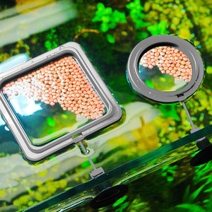 Anneau d'alimentation pour poissons, accessoire d'aquarium, mangeoire carrée ou ronde avec ventouse, pour aliments et accessoires - Product Image 2