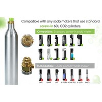 Bouteille de gaz CO2 certifiée CE 425g 0,6L pour la carbonatation de boissons à domicile