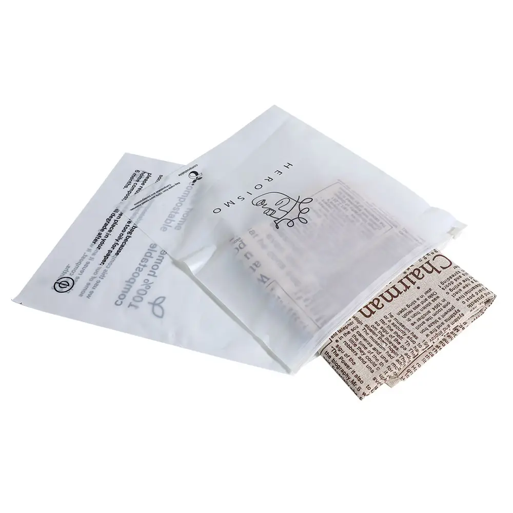 Custom Biodegradable Ziplock Resealable Plastic Poly Packaging Zip Lock Bag With Logo For Clothing