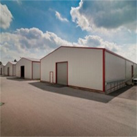 Estructura de Acero Ligero Prediseñada, Edificio de Gran Vano, Fábrica, Almacén, Taller, Almacenamiento en Frío, Almacenamiento Industrial, Logística