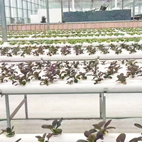 Système d'agriculture hydroponique verticale à haut rendement et peu encombrant avec trous personnalisables pour les agriculteurs urbains
