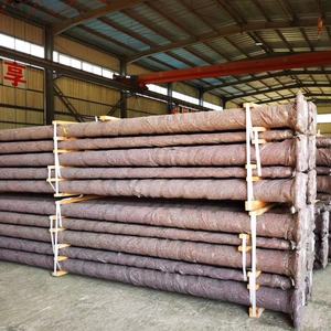 3 מ '4 מ' 5m 6 מ '7m 8m יחיד זרוע כפולה תחביב חם טבל חם מגולוון רחוב אור פלדה מוט אור פלדה מוט אור - Product Image 4