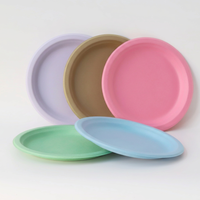 Assiette à dessert jetable de 9 pouces personnalisée, vaisselle de fête biodégradable écologique, ensemble de vaisselle aux couleurs personnalisées