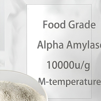 Polvo de Enzima Alfa Amilasa de Grado Alimenticio 100000u/g a Granel para Licuefacción de Almidón en Elaboración de Cerveza y Maltodextrina para Panificación CAS 9000-92-4