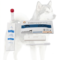 Bandelettes de test vétérinaire de bonne qualité, test Parvo ag CPV Ag pour chien, tests à domicile en une seule étape