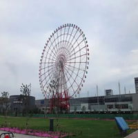Ruota panoramica per il prezzo di vendita parco divertimenti giostre all'aperto per bambini al coperto kidde 40m nuova ruota rotante piccola ruota panoramica usata