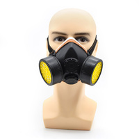 Yüksek kaliteli TPR NP306 kimyasal respiratörü Anti CO2 gaz maskesi karbon monoksit yarım gaz maskesi boya püskürtme için petrokimya
