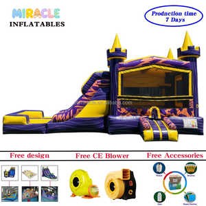 Château gonflable commercial avec toboggan aquatique, mascotte tigre 3D, château gonflable avec piscine pour location événementielle - Product Image 5