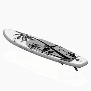 Personalizzare il modello sup Board Wind Serfing sup Board 320 Gonfiabil per l'intrattenimento dell'acqua - Product Image 5