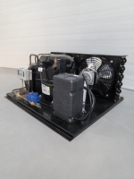 220-240V 50Hz Unidad de condensación 2hp Tecumseh Compresor Cámara frigorífica