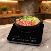 Mini-cuisinière à induction portable pour la maison et l'hôtel, réchaud électrique avec panneau en verre pour camping-car, petit appareil électroménager