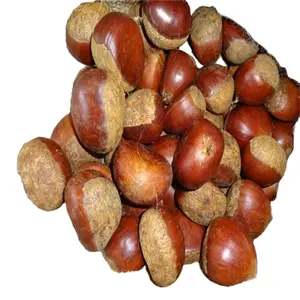 New crop bulk wholesale raw fresh sweet chestnut chestnuts price per kg wholesale from China